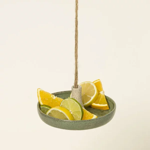 Ceramic Hanging Butterfly Feeder