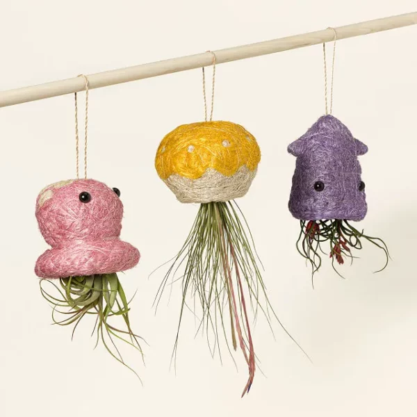 Coconut Fiber Hanging Aquatic Planters