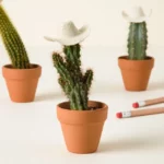 Cowboy Cacti Trio 1