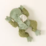 Eucalyptus Frog Heat Pillow 1