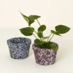 Gemstone Planter 1