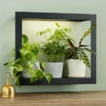 Growlight Frame Shelf 1