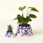 Hand Painted Turtle Planter Set