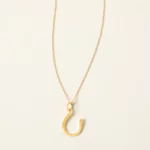 Horseshoe For Protection Necklace 1