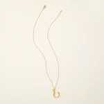 Horseshoe For Protection Necklace 2