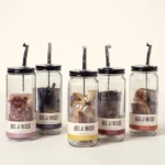 Infuse & Pour Alcohol Kit 1