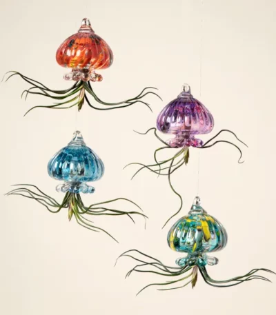 Jellyfish Air Planter