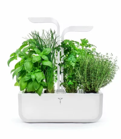 Led Self-watering Multi-herb Garden