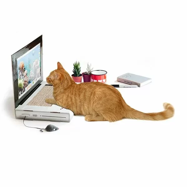 Laptop Cat Scratching Pad