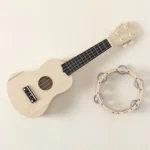 Make Your Own Folk Instruments 1