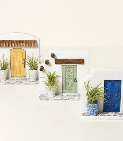 Mediterranean Doorsteps Mini Air Plants