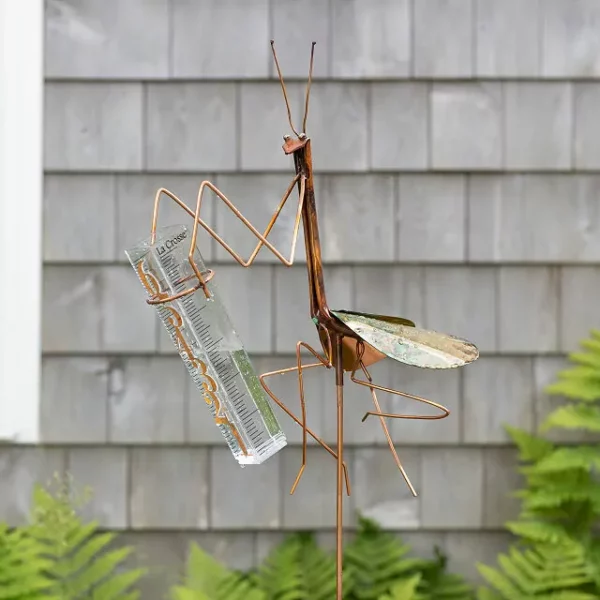 Praying Mantis Rain Gauge