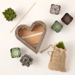 Redwood Succulent Heart Kit 1