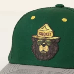 Smokey The Groovy Bear Hat 1