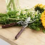 Thai Kitchen Garden Shears