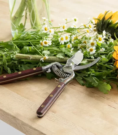 Thai Kitchen Garden Shears