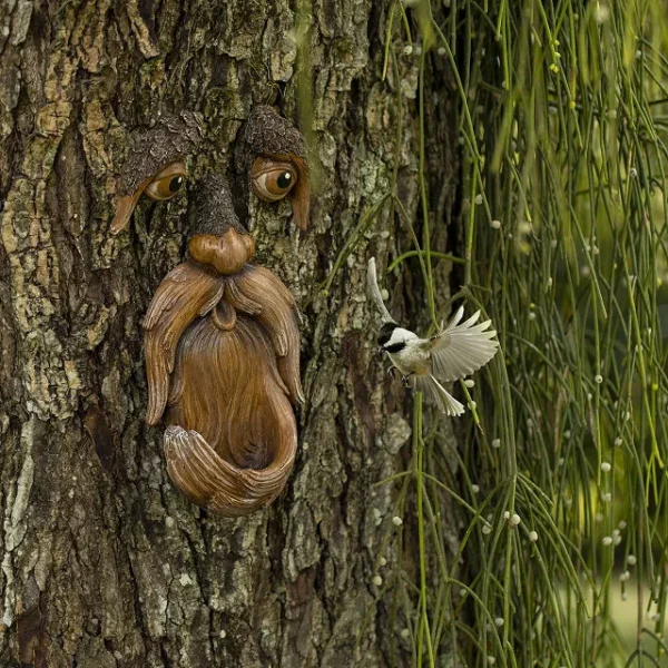 Tree Wizard Bird Feeder